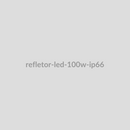 Refletor LED 100W IP66