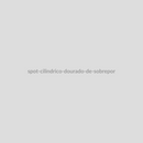 Spot Cilíndrico Dourado de Sobrepor